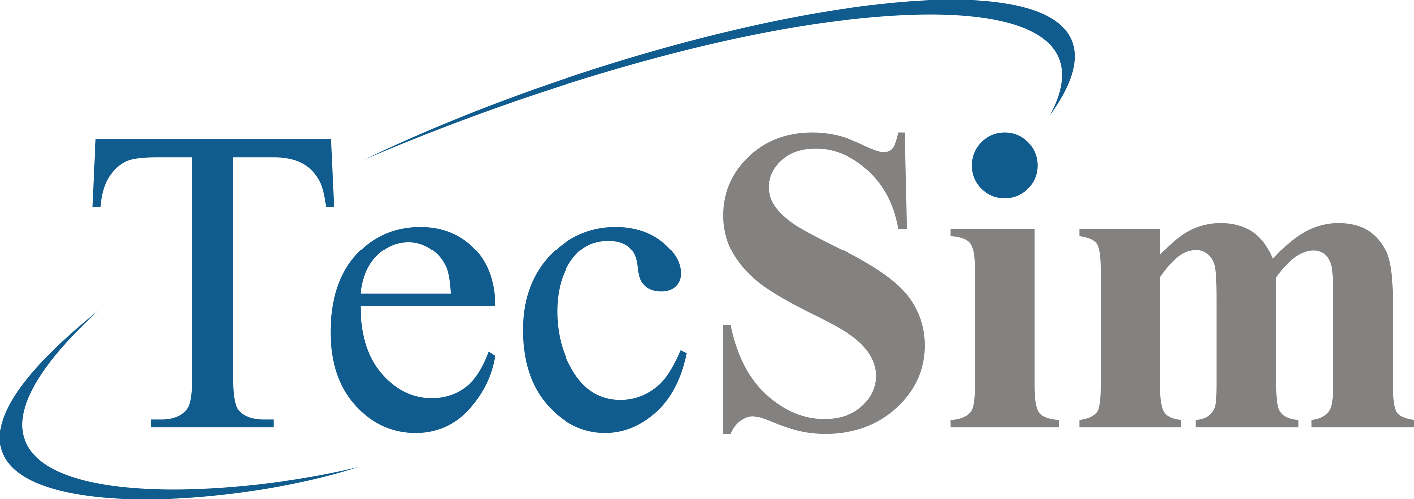TecSim logo